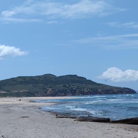イグレージアスCasa Vacanze Lo Specchioアパートメント エクステリア 写真